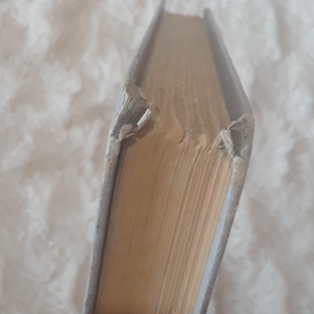 Two Vintage 1950's Books BLACK BEAUTY &  Grimm Brothers - Picture 6 of 12